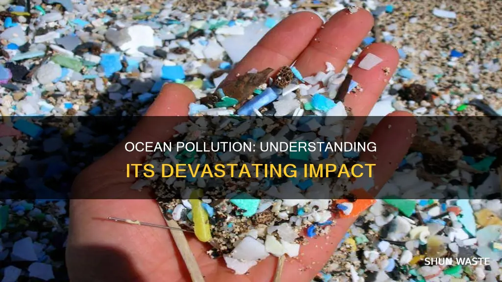 what are some effects of ocean pollution