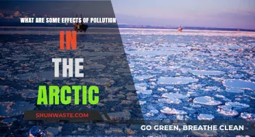 Arctic Pollution: Understanding Its Devastating Effects