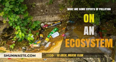 Pollution's Impact: Ecosystem Disruption and Devastation