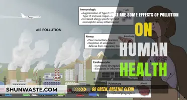 Pollution's Impact: Understanding Health Consequences