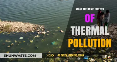 Thermal Pollution: Understanding Its Impact and Effects
