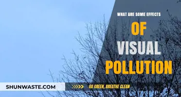 Visual Pollution: Its Impact and Our Health