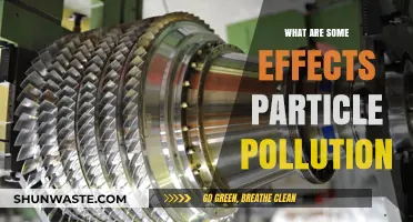 Particle Pollution: Harmful Effects on Our Health