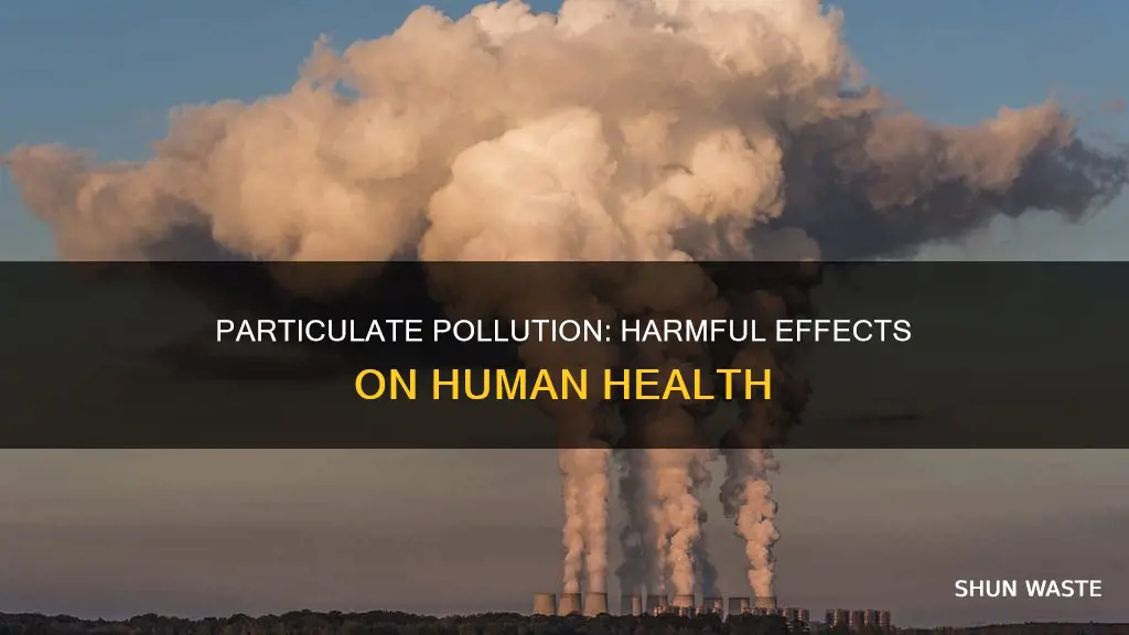 what are some effects particulate pollution