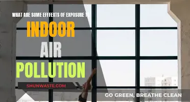 Indoor Air Pollution: Understanding Its Impact on Our Health