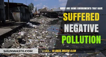 Pollution's Dark Legacy: Environments Ravaged by Human Activity