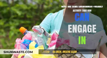Eco-Friendly Activities: Simple Ways to Protect Our Planet Daily