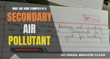 Air Quality Concerns: Secondary Pollutants and Their Examples