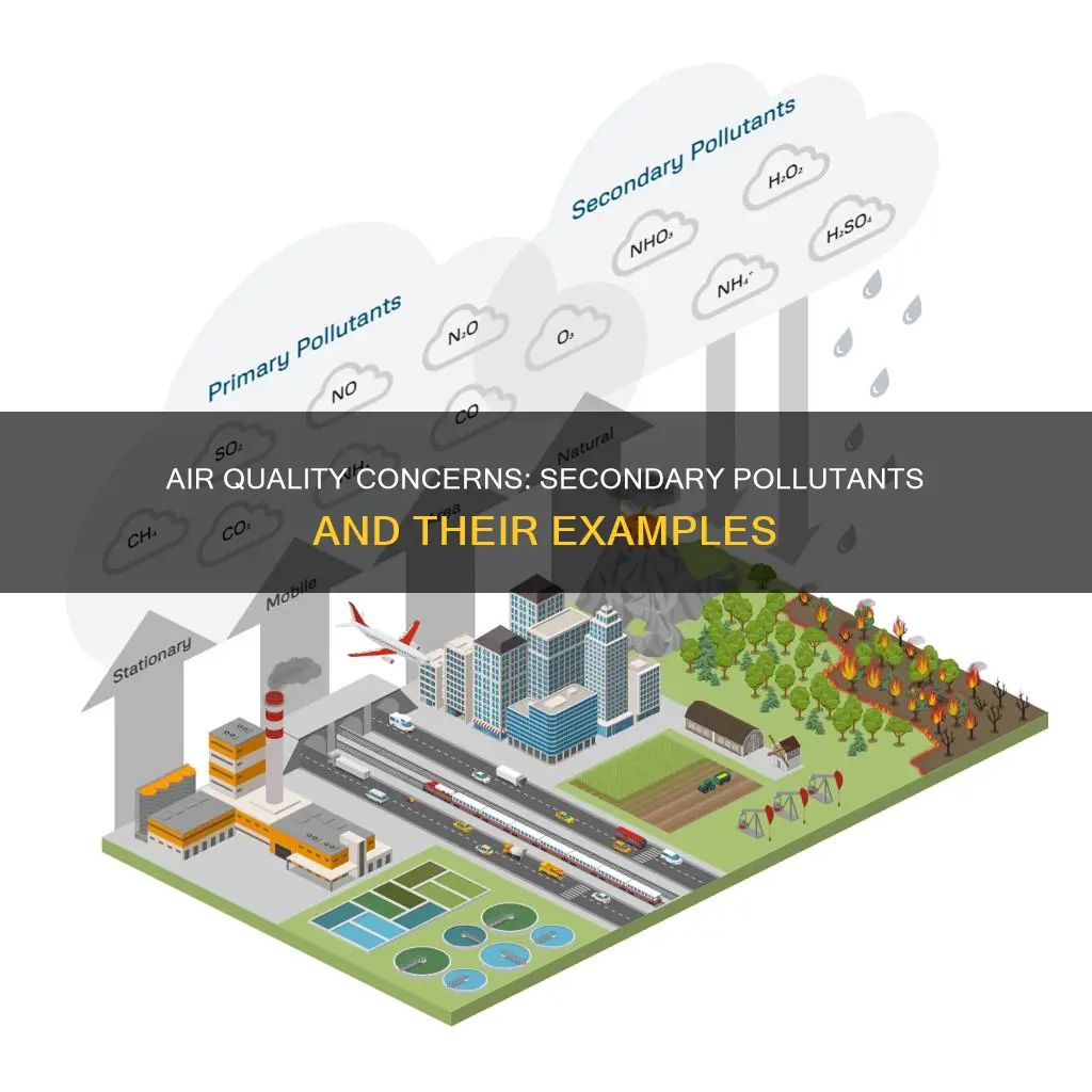 what are some examples of a secondary air pollutant