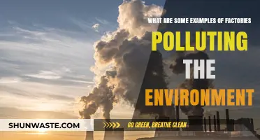 Factory Pollution: Harmful Examples and Their Impact