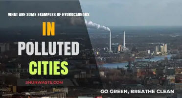 Hydrocarbons in Cities: Polluting the Air We Breathe