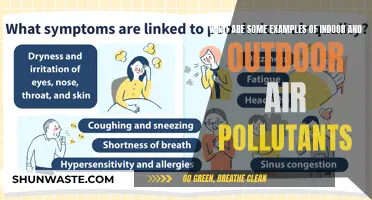 Air Pollutants: Indoor and Outdoor Examples Explained