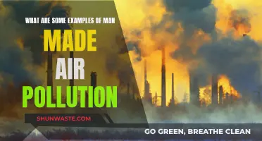 Human-Caused Air Pollution: Some Damaging Examples