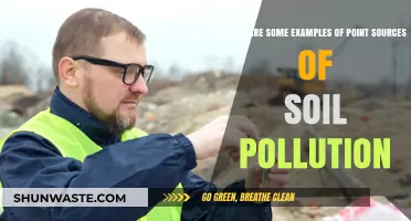 Soil Pollution: Point Sources and Their Impact