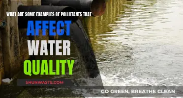 Water Quality: Pollutants and Their Impact