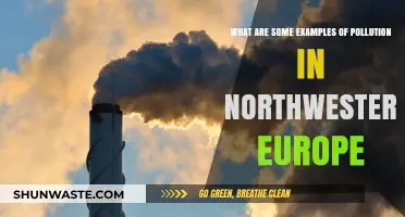 Pollution Problems in Northwestern Europe