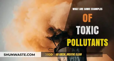 Toxic Pollutants: Understanding Harmful Substances and Their Impact