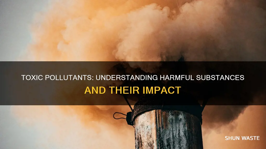 what are some examples of toxic pollutants