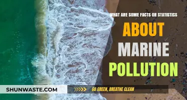 Shocking Marine Pollution Facts and Statistics Revealed
