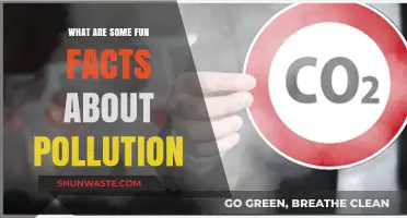 Pollution's Surprising Secrets: Fun Facts Revealed