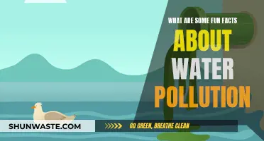 Unveiling the Surprising World of Water Pollution: Fun Facts Revealed!