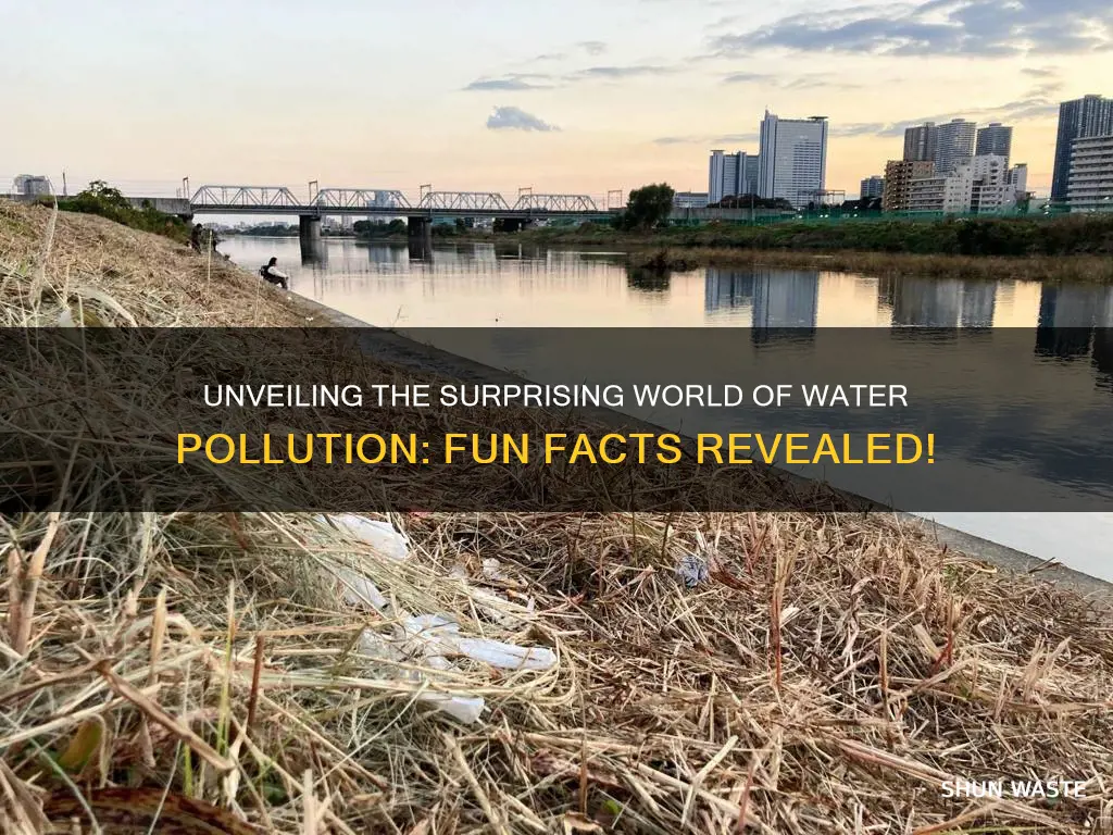 what are some fun facts about water pollution