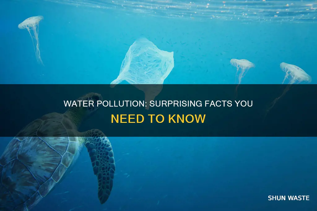 what are some fun facts about water pollution