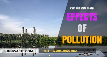 Pollution's Global Reach: Understanding Its Devastating Impact