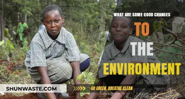 Sustainable Steps: Positive Environmental Changes for a Greener Future