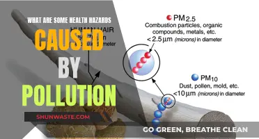 Unveiling the Hidden Dangers: Health Hazards of Pollution