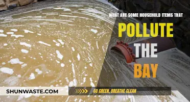 Everyday Items That Pollute Our Bay