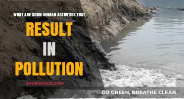 Human Activities: Polluting Our Planet