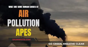 Human Activities: Unveiling the Sources of Air Pollution