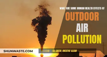 Air Pollution's Impact on Human Health Explained