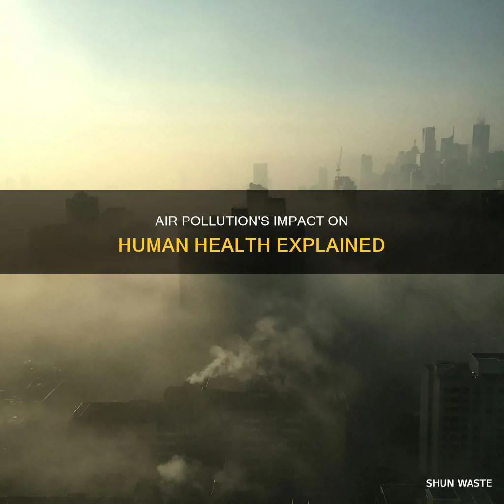 what are some human health effects of outdoor air pollution
