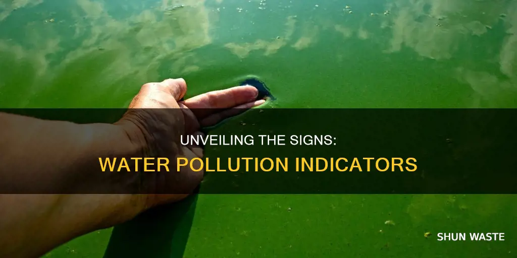 what are some indicators of polluted water