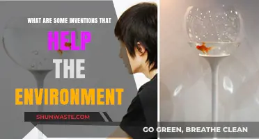 Eco-Friendly Innovations: Inventions Transforming Our Planet for a Greener Future
