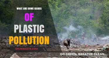 Plastic Pollution: Harming Our Planet and Health