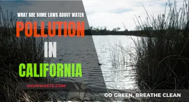 California's Water Pollution Laws: A Comprehensive Guide