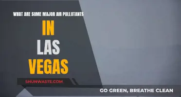 Air Quality Alert: Vegas Pollutants Revealed