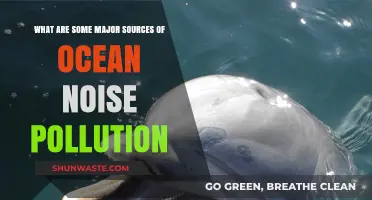 Ocean Noise: Major Sources and Their Impact