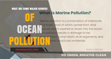 Ocean Pollution: Major Sources and Their Impact
