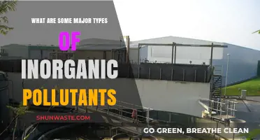 Inorganic Pollutants: Understanding Their Major Types