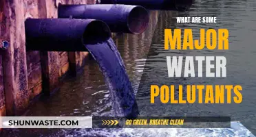 Unveiling the Hidden Dangers: Major Water Pollutants and Their Impact