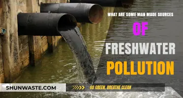 Human Impact: Freshwater Pollution Sources