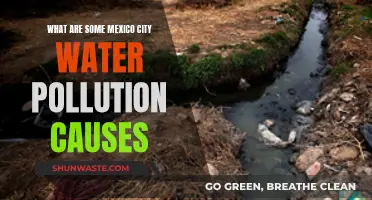 Unveiling Mexico City's Water Woes: Sources of Pollution Revealed