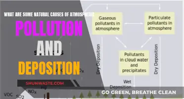 Unveiling Nature's Role in Air Pollution: Causes and Effects