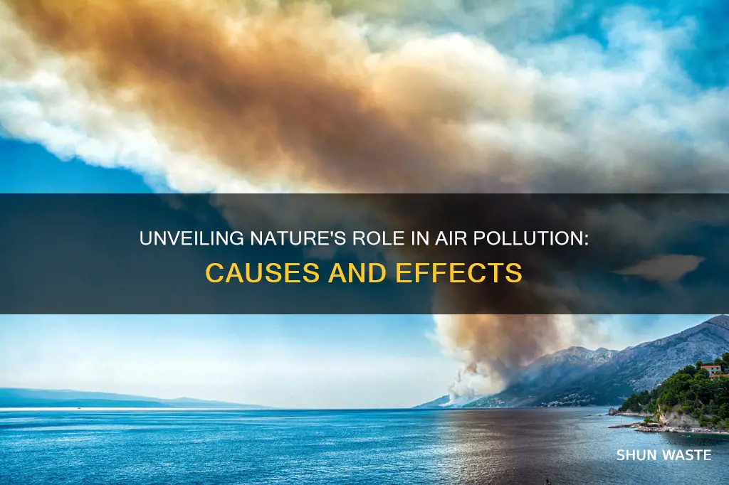 what are some natural causes of atmospheric pollution and deposition