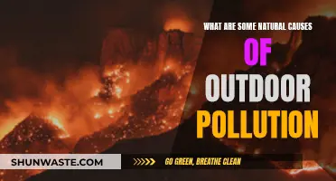 Unveiling Nature's Hidden Pollutants: Exploring Natural Sources of Outdoor Air Pollution