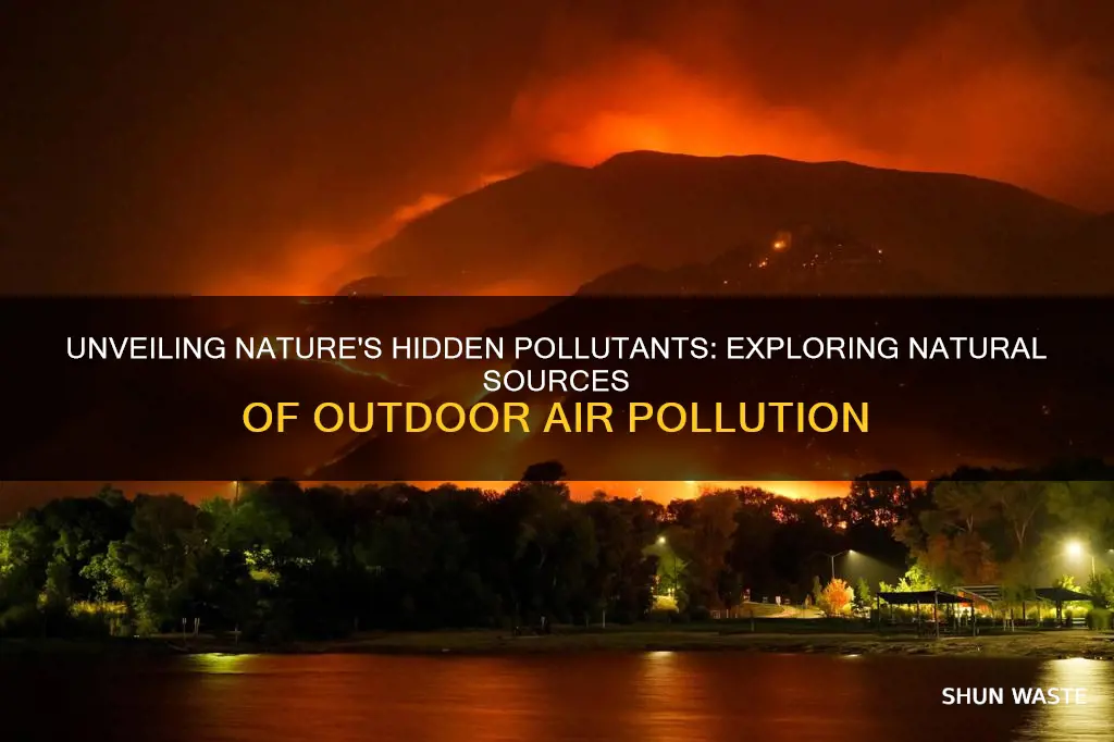 what are some natural causes of outdoor pollution